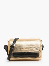 Leather Diane Xs Noir Or Crossbody Bag Paul marius Gold or noir DIANXORN