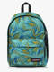 brize palm aqua