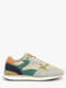 multicolor