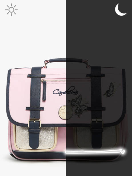 3-compartment Satchel Cameleon Pink vintage family boulanger CA41 other view 7