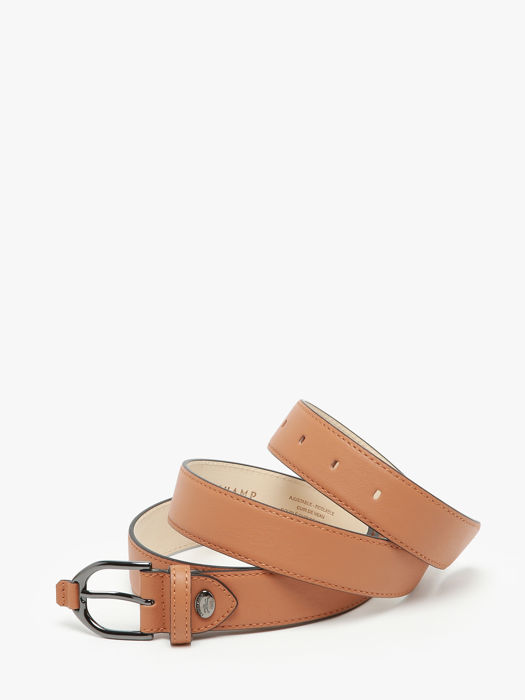 Longchamp Longchamp 3d Belts Brown