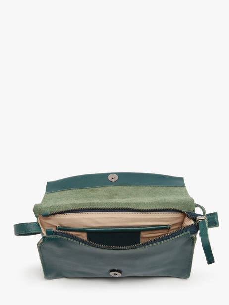 Sac Bandoulière Leather Cuir Biba Vert leather CET3L vue secondaire 3