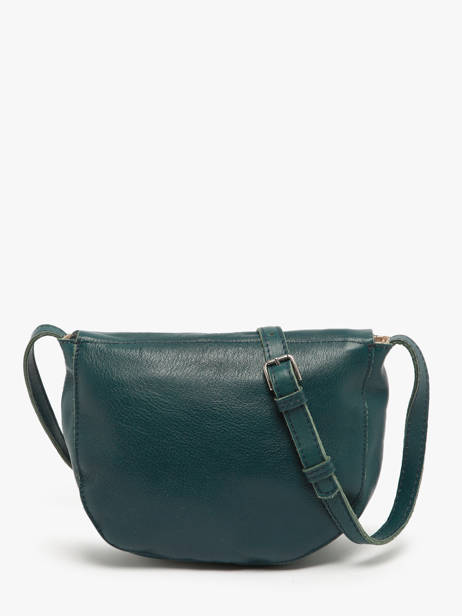 Sac Bandoulière Leather Cuir Biba Vert leather CET7L vue secondaire 4