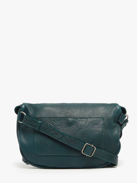 Sac Banane Biba Vert leather CLU1L vue secondaire 4