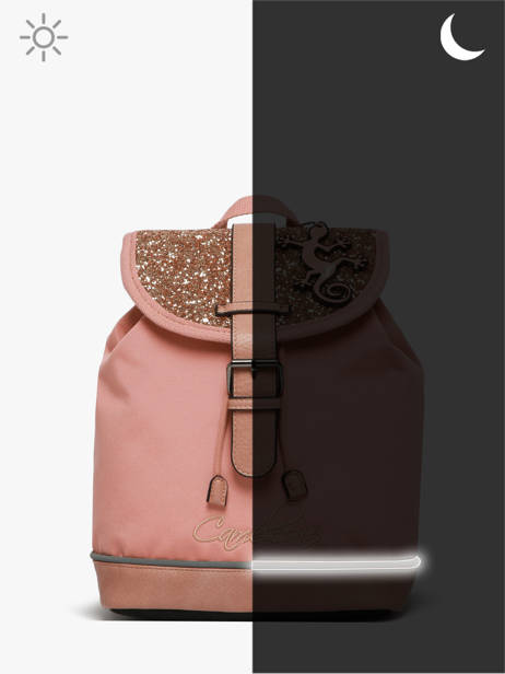 1 Compartment Backpack Cameleon Pink vintage fantasy SD25 other view 7