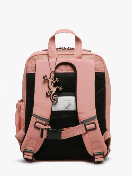 1 Compartment Backpack Cameleon Pink vintage fantasy SD33 other view 4