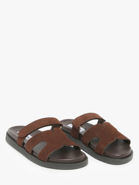 Sandals In Leather Steve madden Brown women 11003504 other view 1