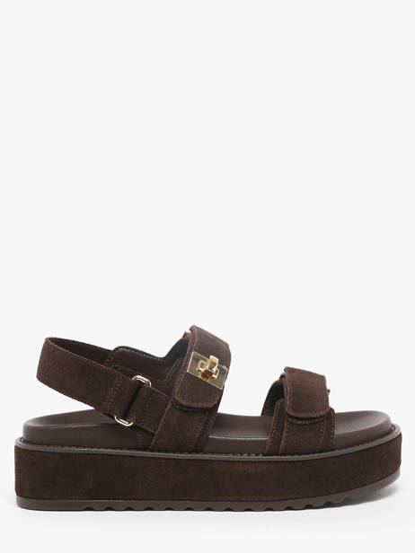 Sandals Bigmona In Leather Steve madden Brown women 11003034