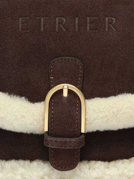 Shoulder Bag Alpin Leather Etrier Brown alpin EALP050S other view 5