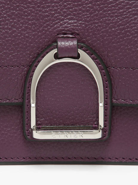 Small Leather Altesse Crossbody Bag Etrier Violet altesse EALT048S other view 5