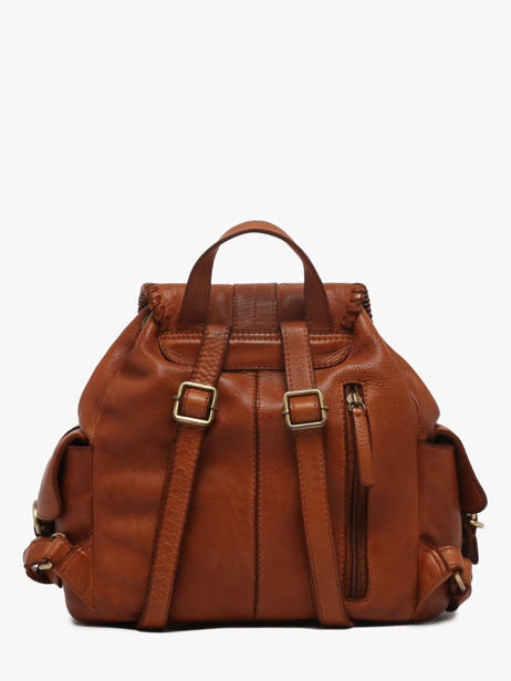 Backpack Basilic pepper Brown utility BUTI10 other view 3