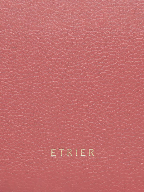 Sac Bandoulière S Tradition Cuir Etrier Rose tradition ETRA207S vue secondaire 5