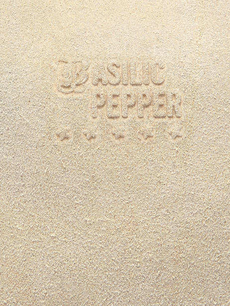 Leather Houston A4 Shoulder Bag Basilic pepper Beige houston BHOU31 other view 4