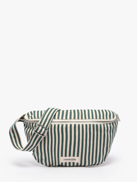 Belt Bag Rivedroite Green spring striped CUSTSTRI
