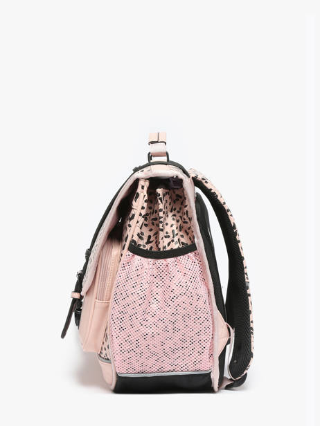 2-compartment Satchel Cameleon Pink vintage north PBVWCA38 other view 2