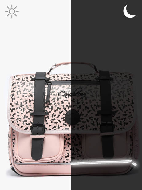 2-compartment Satchel Cameleon Pink vintage north PBVWCA38 other view 7