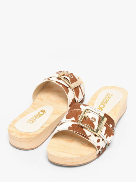 Slippers In Leather Colors of california Brown accessoires HCBAYL06 other view 2