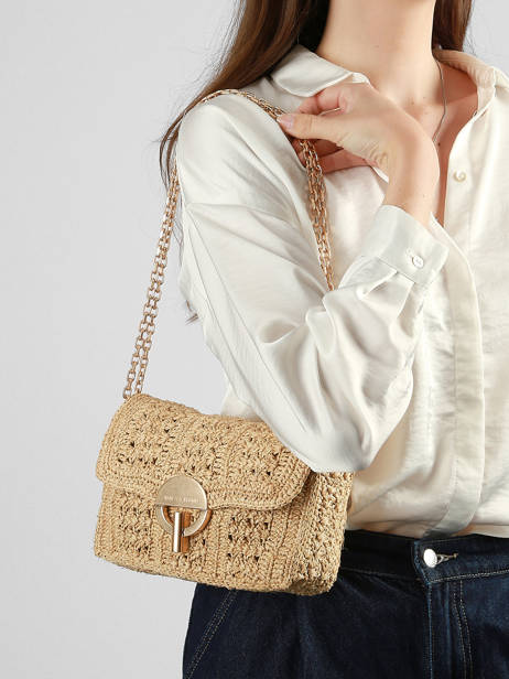 Sac Moyen Moon Raphia Tressage Chevron Vanessa bruno Beige moon raphia 91V40533 vue secondaire 1