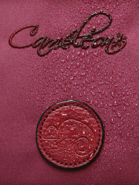 Sac Gouter Vintage Fantasy Cameleon Violet vintage fantasy BL24 vue secondaire 5