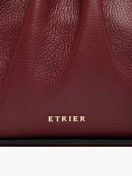 Sac Porté épaule Foudre Etrier Rouge foudre EFOD238M vue secondaire 2