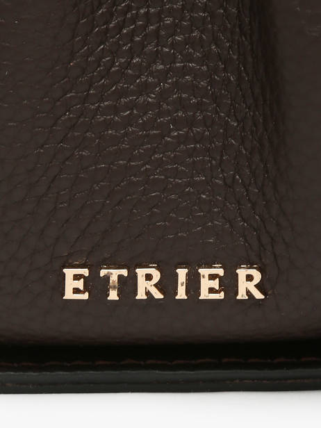 Sac Bandoulière Foudre Etrier Marron foudre EFOD238S vue secondaire 2