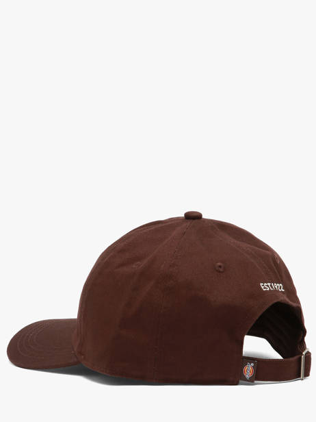 Casquette Essential Dad Cap Dickies Marron accessoires DK0A4Z6N vue secondaire 2