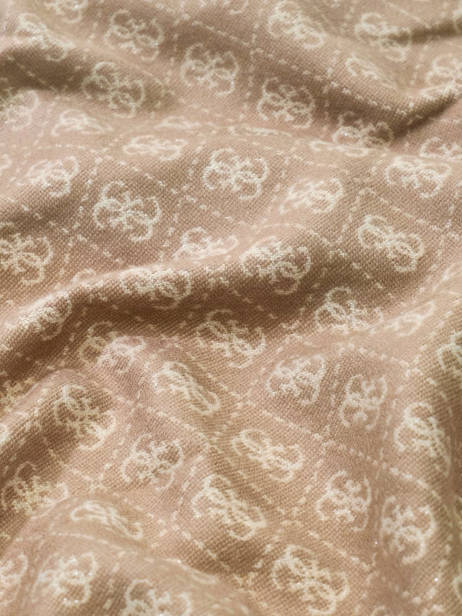 Écharpe 4g Logo 60x190 Guess Beige accessoires 5663VIS0 vue secondaire 1