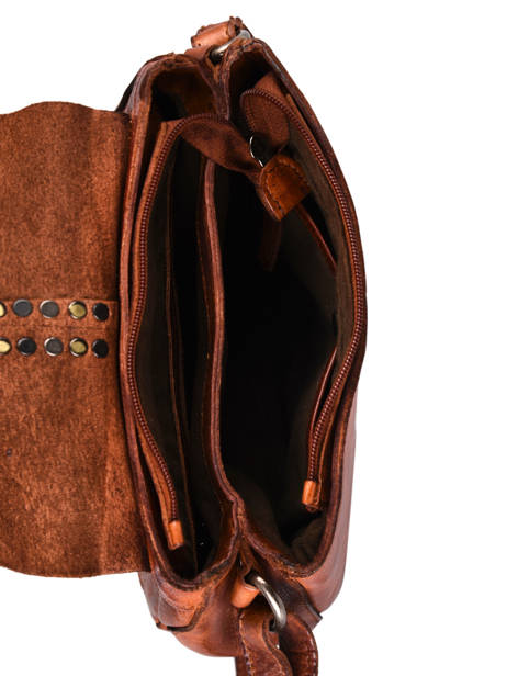 Leather Heritage Crossbody Bag Biba Brown heritage HAK2L other view 4