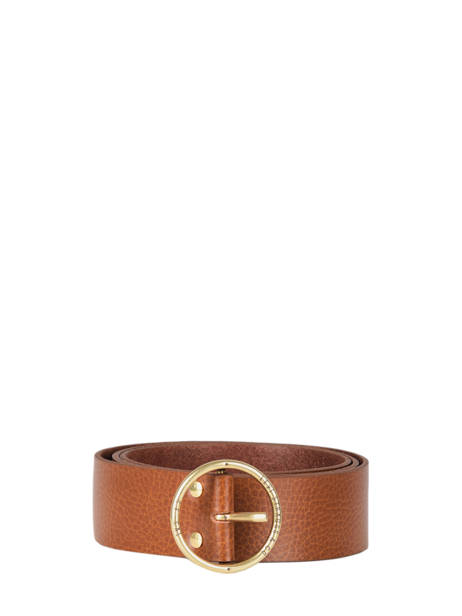 Belt Levi's Brown accessoires 228952