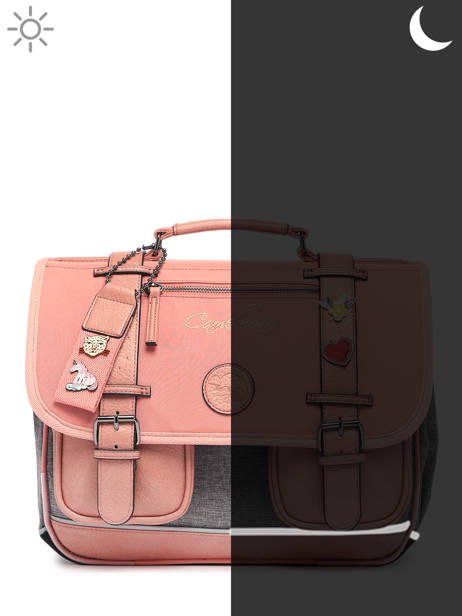 3-compartment  Satchel Cameleon Pink vintage pin's CA41 other view 8